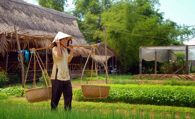 Một ngày làm nông dân tại làng rau Trà Quế